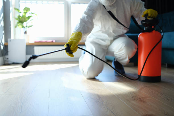 Best Pest Prevention Services  in Wenona, IL