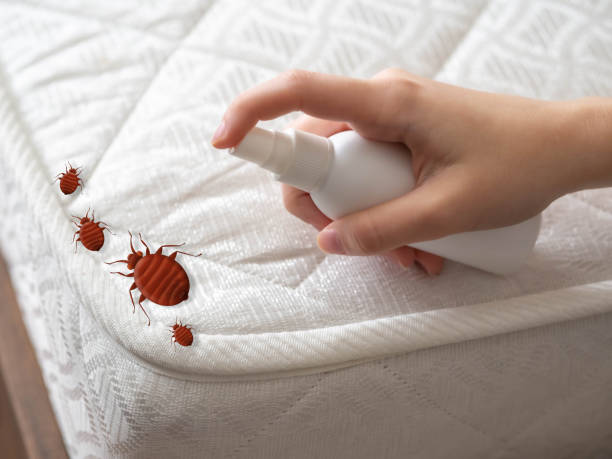 Best Affordable Pest Control Services  in Wenona, IL